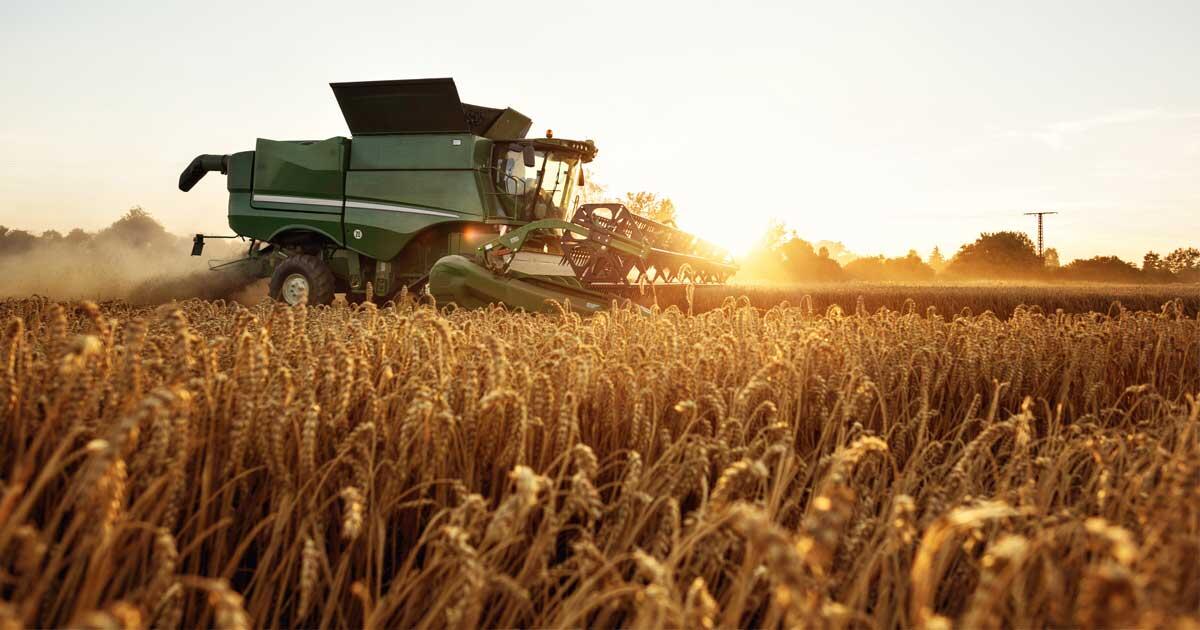 A tractor in a field.