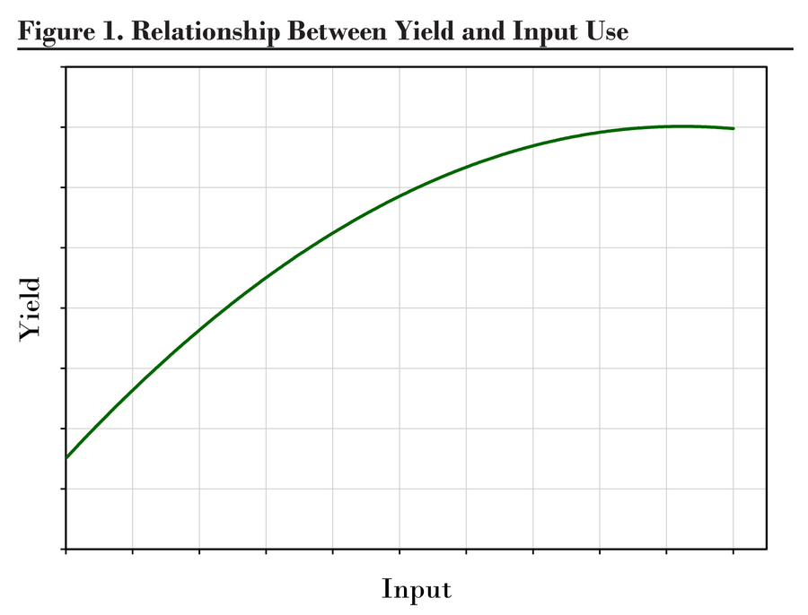 A line graph illustrating the relationship between yield and input.