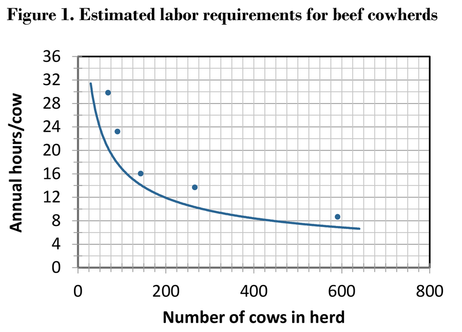 A line graph showing the estimated labor requirements for beef cow herds.